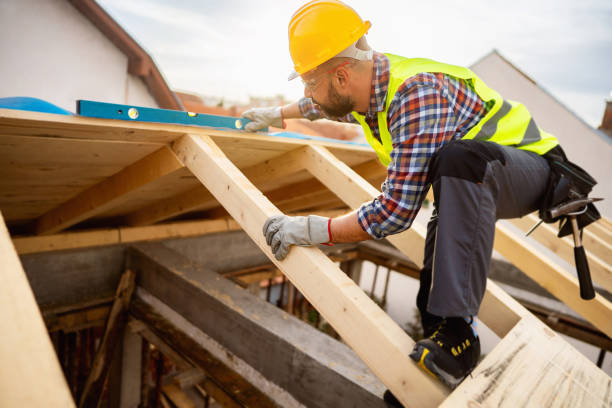 Best Roof Gutter Cleaning  in Ottawa, OH